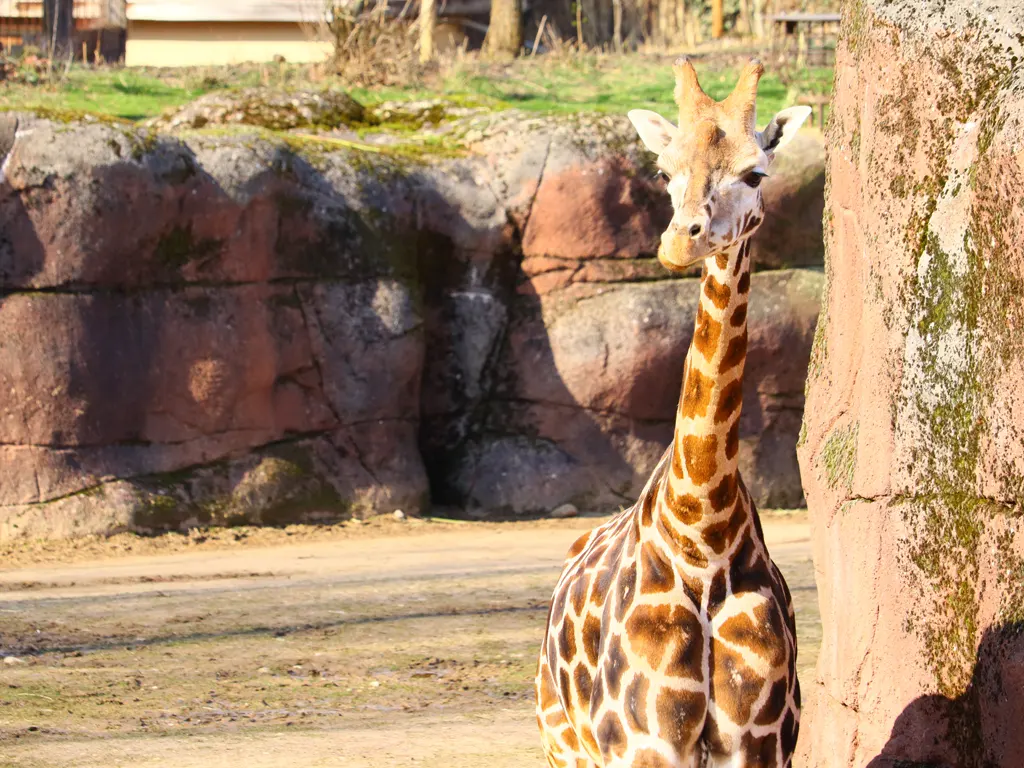 BioParc