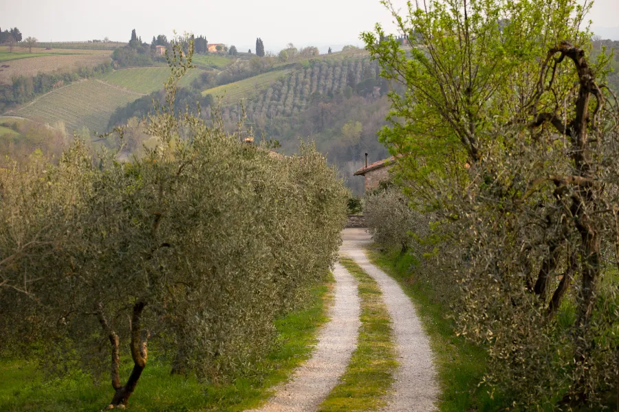Naturaleza italiana